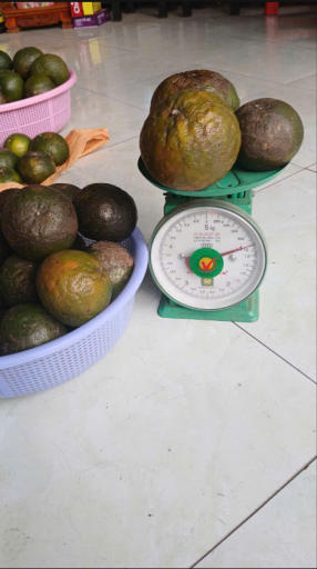 2026 03 06 15 58 23 png