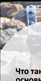 2025 10 12 21 17 56 png
