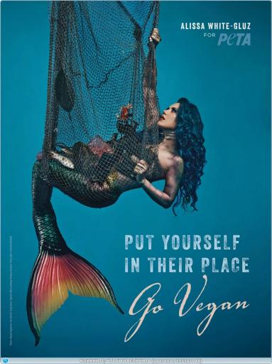 thumb 456016a29d3aa7661d0a1dcbd3cf8f37 jpg