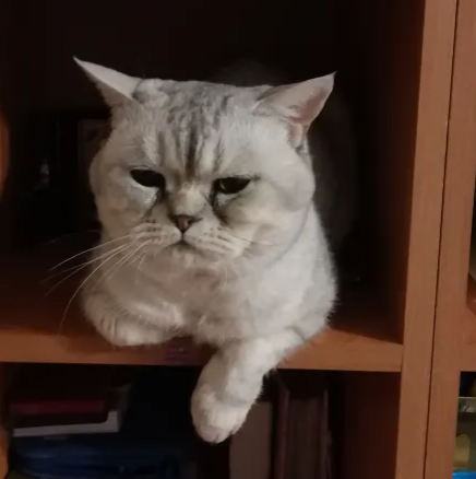 2025 11 26 01 03 29 png