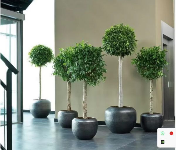 2026 03 29 09 34 04 png