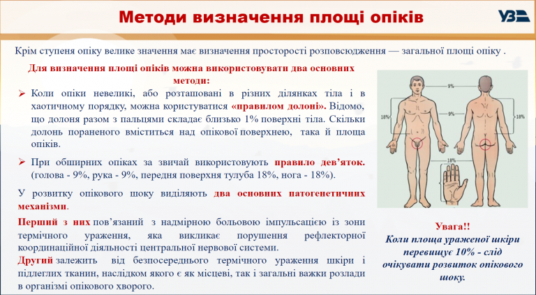 2025 05 19 19 30 50 png