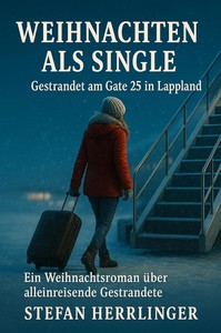 Stefan Herrlinger   Weihnachten als Single   Gestrandet am Gate 25 in Lappland jpg