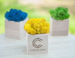 2026 02 23 11 05 04 png