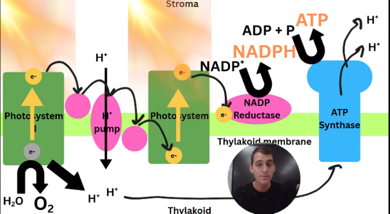 2026 04 26 18 32 41 png