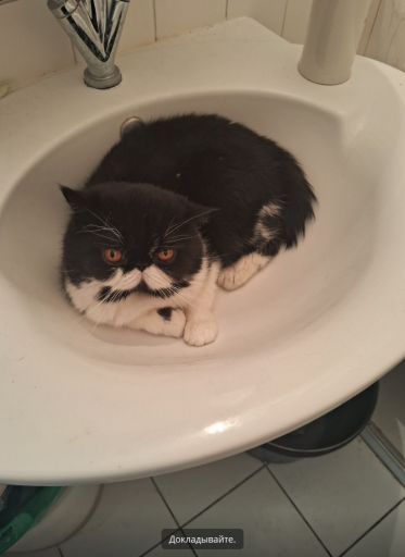 2026 04 05 02 45 40 png