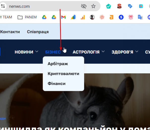 2026 02 19 17 10 27 png