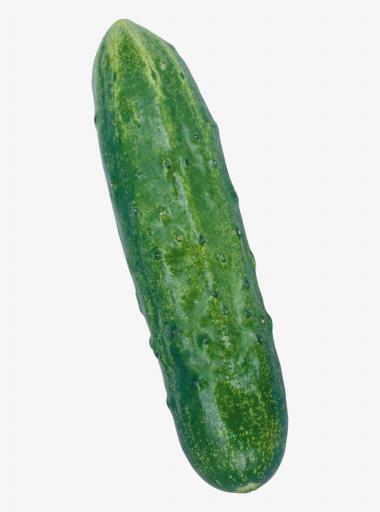 291 2915613 pepinos  png