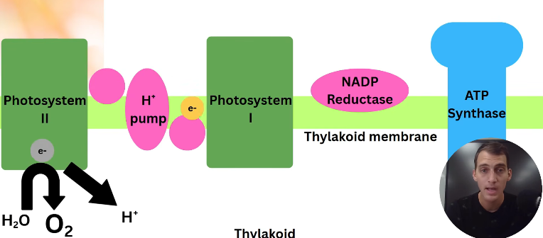 2026 04 26 18 27 49 png