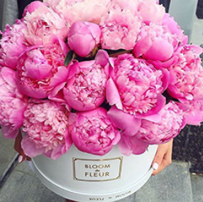 2026 04 24 11 49 41 png