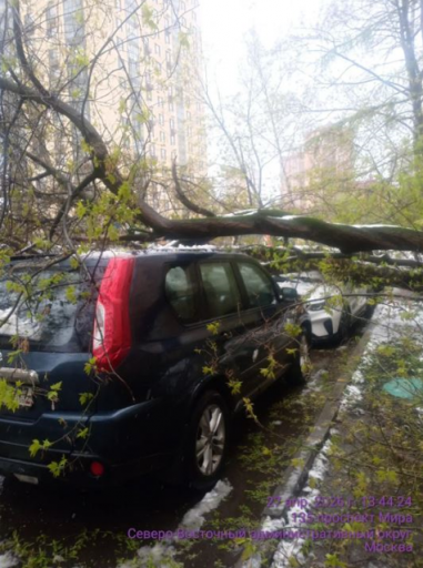 2026 04 29 14 26 39 png