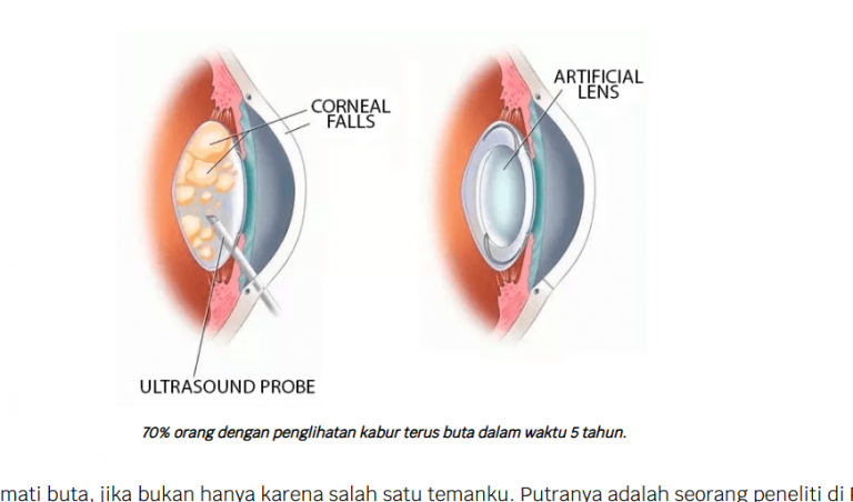 2025 11 27 09 30 32 png