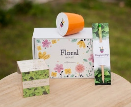 2026 02 24 12 20 37 png