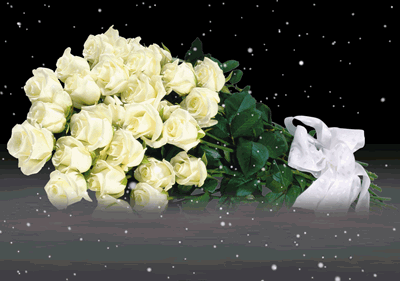 img34bc9f5d437da405563f21d3f0b6a3b4 gif