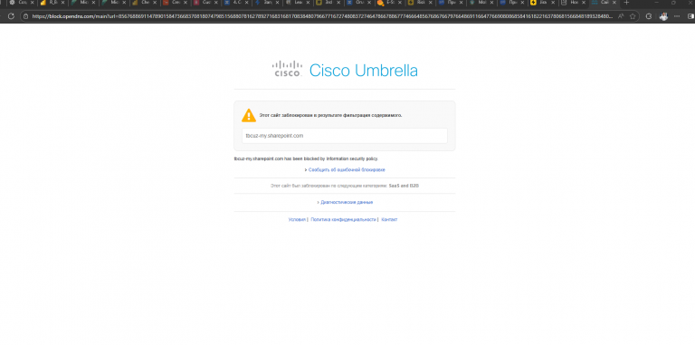 2025 11 28 10 33 04 png