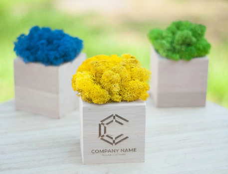 2026 02 21 17 08 15 png