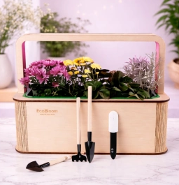 2026 02 23 11 00 09 png