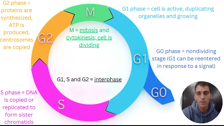 2026 04 26 20 23 16 png