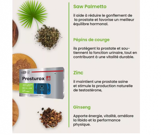 2025 12 03 11 03 40 png