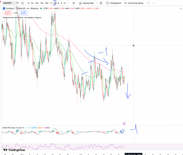 2026 04 23 20 43 18 png