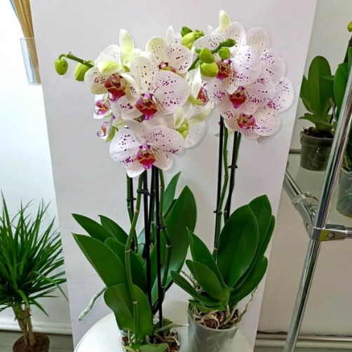 2025 12 05 16 47 47 png