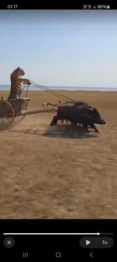 Screenshot 20260824 011722 TikTok jpg