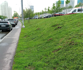 2025 05 29 14 22 42 png