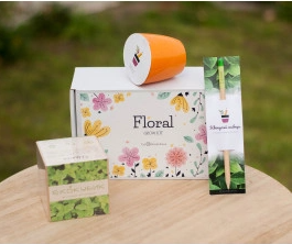 2026 02 21 13 08 26 png