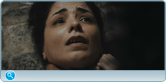 thumb 55f87a7c8d7d4f67f27a16a95c182237 png
