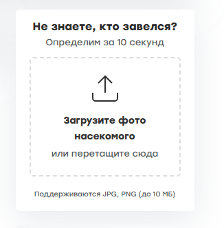 2025 12 08 01 08 14 png