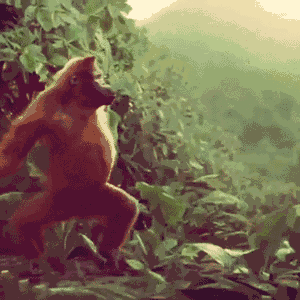 IGo3  1  gif