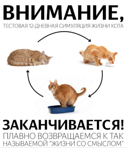 2026 01 12 12 51 14 png