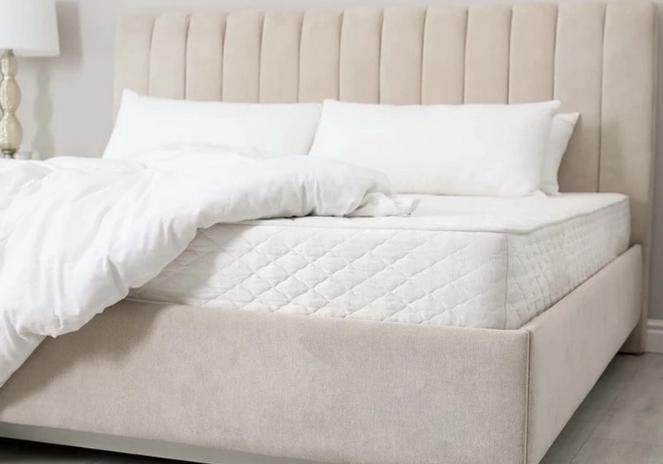 2025 11 24 19 22 50 png