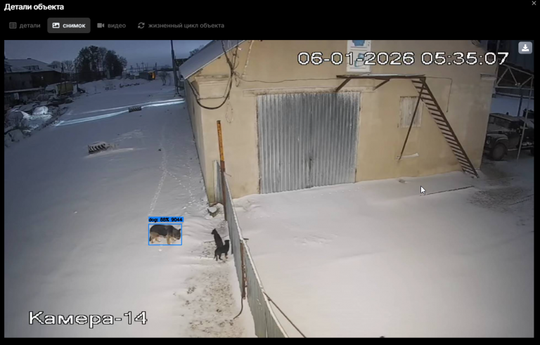 2026 01 06 16 44 21 png