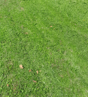 2025 05 29 16 37 03 png