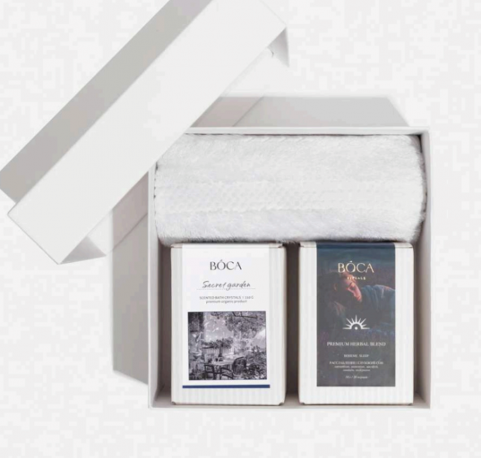 2026 02 13 15 41 18 png