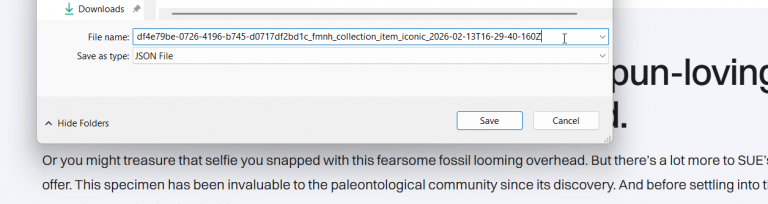 2026 02 13 18 29 46 png