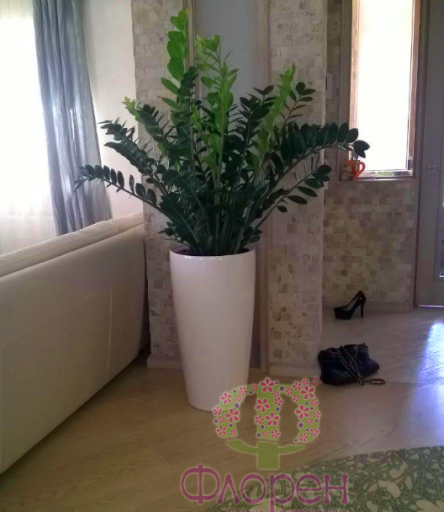 2026 03 10 11 11 00 png