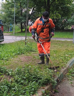 2025 05 29 16 36 48 png