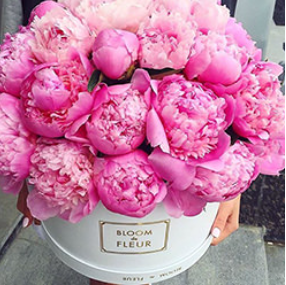 2026 04 17 10 58 37 png