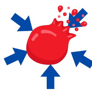 2026 04 24 23 36 50 png