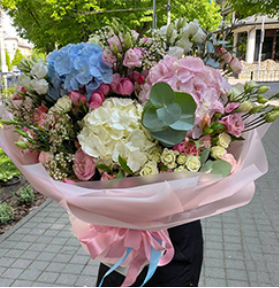 2026 04 27 12 37 24 png