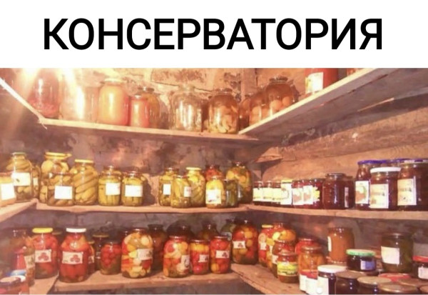 1785191265 jpg