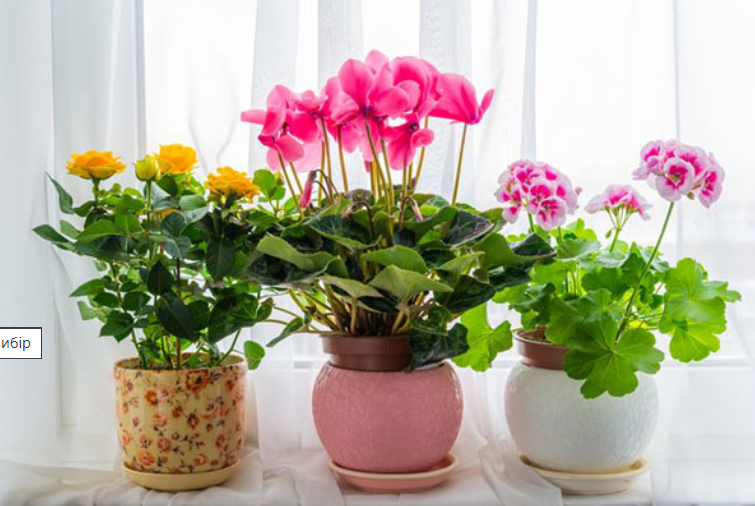 2025 12 05 20 03 53 png