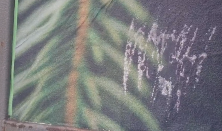 2026 01 14 13 12 30 png