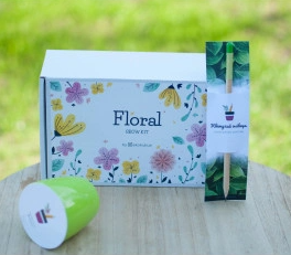 2026 02 23 12 23 45 png