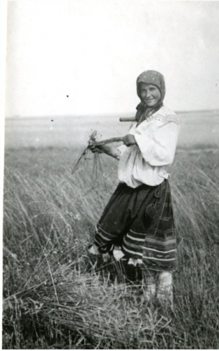 2025 11 26 00 09 23 png