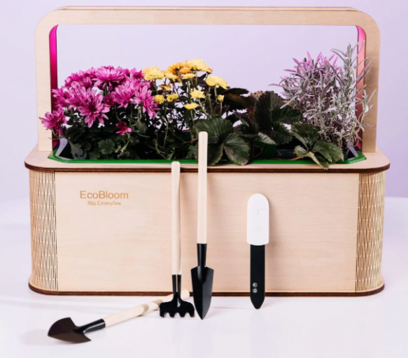 2026 02 25 15 26 30 png