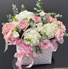 2026 04 20 10 05 01 png