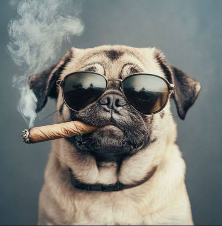 2025 12 17 18 55 08 png